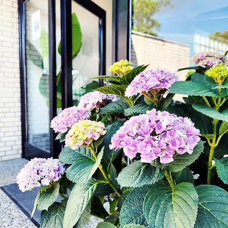 Haffkrug: Modern With Garden View And Terrace * Scharbeutz